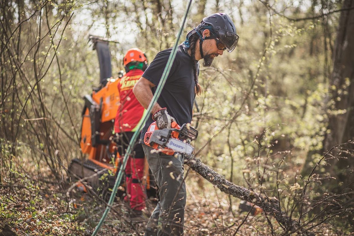 Die T540i XP im Einsatz bei Baumpflegearbeiten im Wald