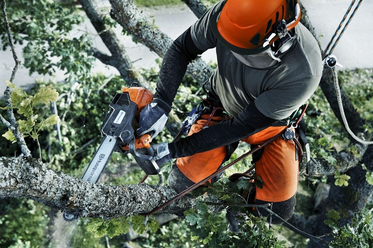 Professioneller Baumpfleger mit Husqvarna T540XP