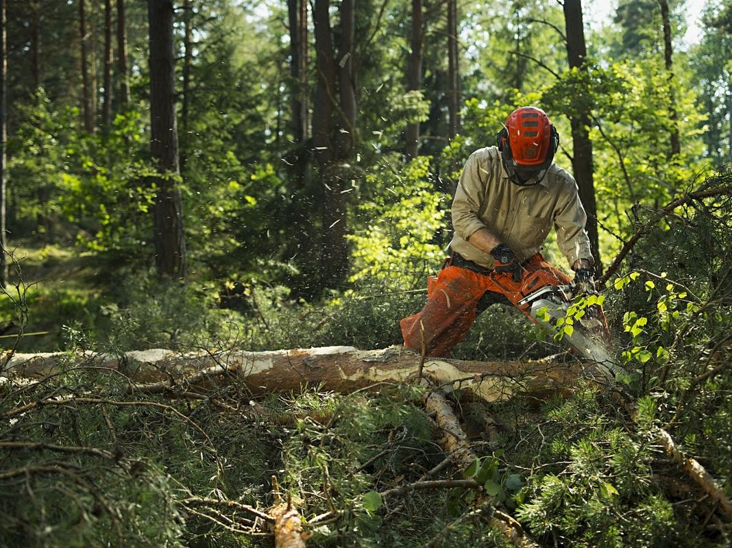 Husqvarna 562 XP