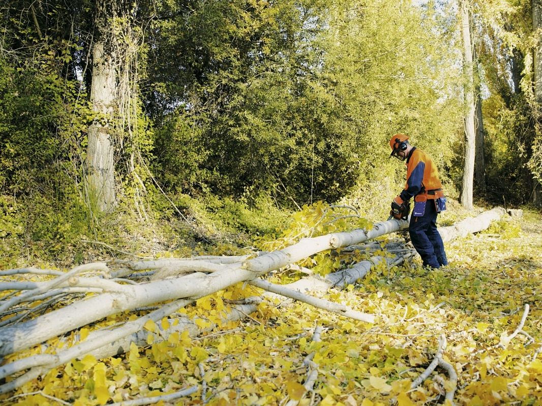 Husqvarna 445