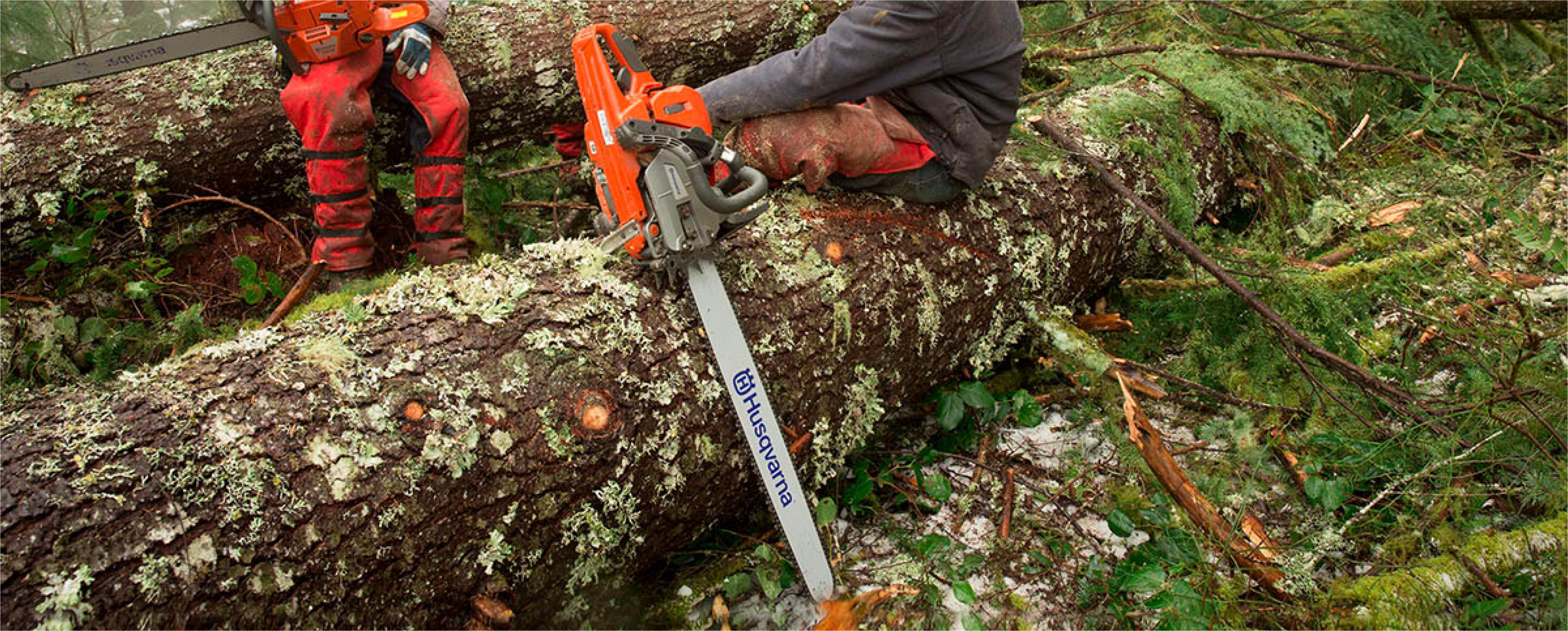 Motorsäge: Welche ist die Richtige?