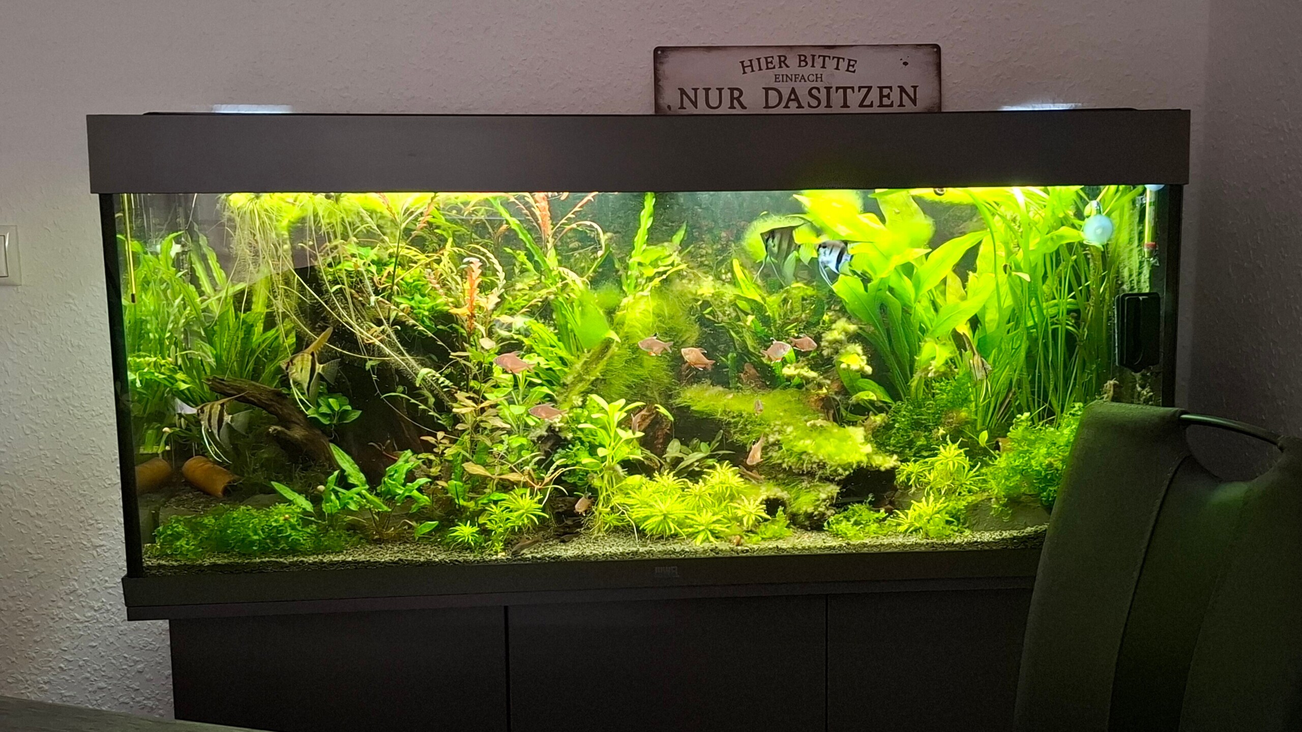  JUWEL Rio 240 LED Aquarium mit Unterschrank