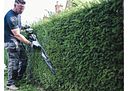Vorschaubild EGO Power Akku-Heckenschere HTX7500S