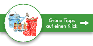 Tipps für einen schönen Rasen Tipps für einen schönen Rasen