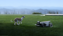 Vorschaubild Segway Mähroboter Navimow X420E AWD - grau