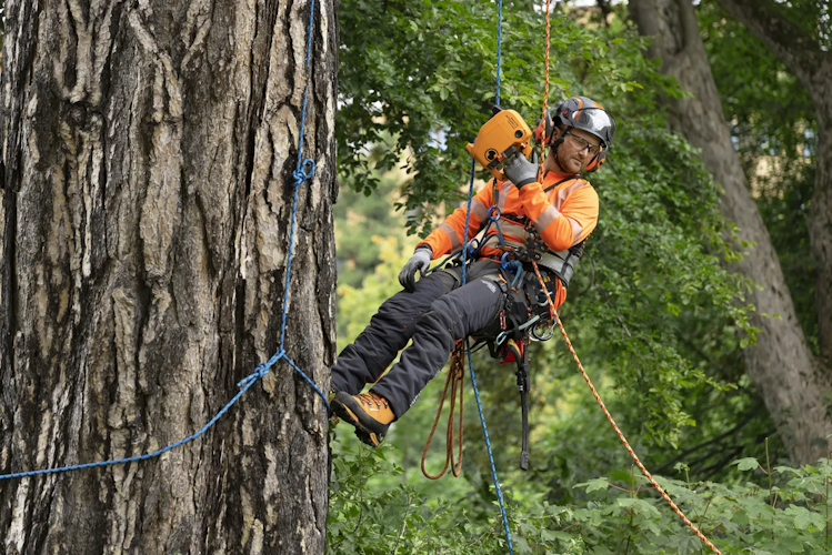 Husqvarna x Skylotec Akku Seilwinde (ohne Akku und Ladegerät)