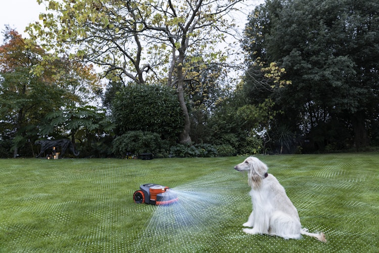 Segway Mähroboter Navimow H215E