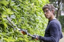 Husqvarna Akku-Stab-Heckenschere 520iHE3 (536LiHE3) 