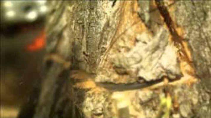 Vorschaubild Youtube-Video Vorschaubild Youtube-Video